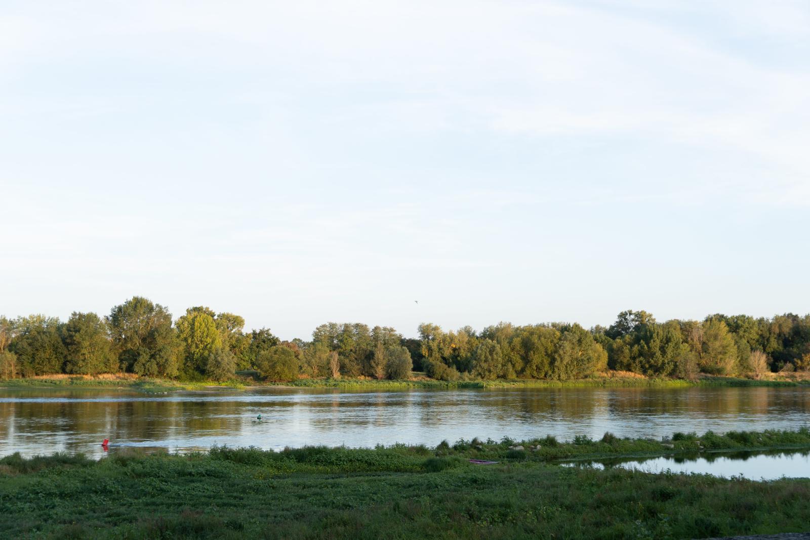 Bords de Loire à Bouchemaine